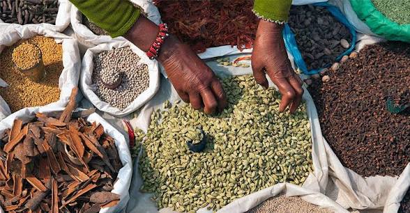 Herbal Boosters for Hair Growth: A Natural Way to Support Stronger, Healthier Hair